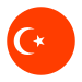 icons8-turkey-75