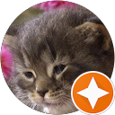 Ly N. profile picture